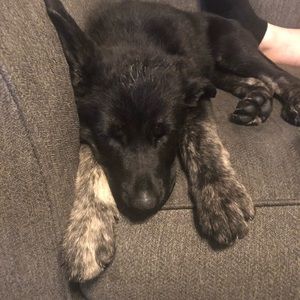 Meet your Posher, Rachel